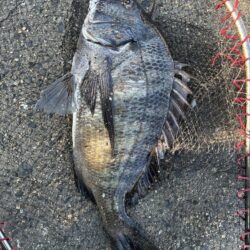 イチノ兄弟、釣果！