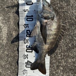 イチノ兄弟、釣果！