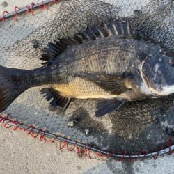 イチノ兄弟、釣果!