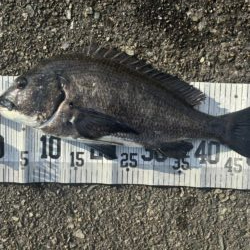 イチノ兄弟、釣果!