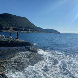 和歌山市江(吉丸渡船)で釣り納め2日目