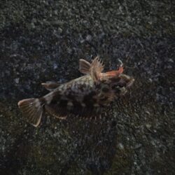 遠征2日目（釣り納め）