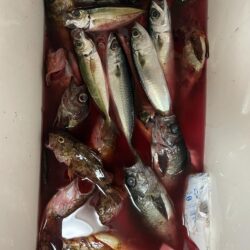 新年早々に記録更新‼️