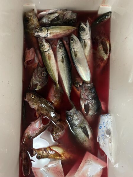 新年早々に記録更新‼️