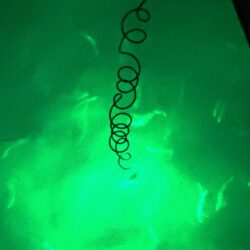 中アジを狙っての釣行しました！！