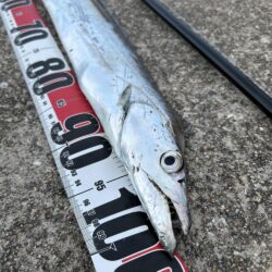 釣り納めでやってしまった