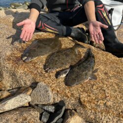 高級魚が入れ食いで楽し過ぎました