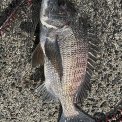 イチノ兄弟、釣果！