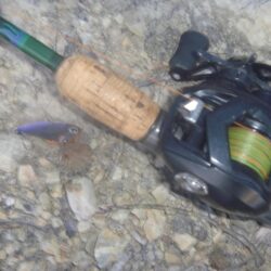 1月の淡水魚釣行