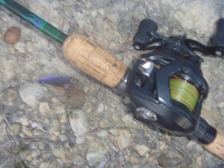 1月の淡水魚釣行