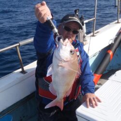 アオナ（アオハタ）にアコウ（キジハタ）が・・・・・