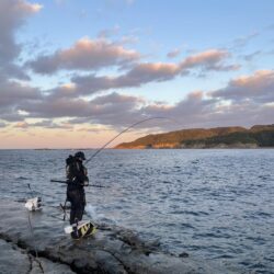 和歌山市江(吉丸渡船)で初釣り