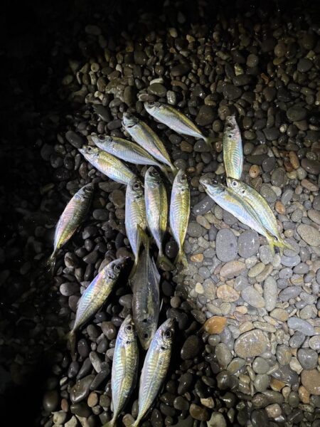 フロートアジング