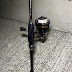 今のうちにチニング