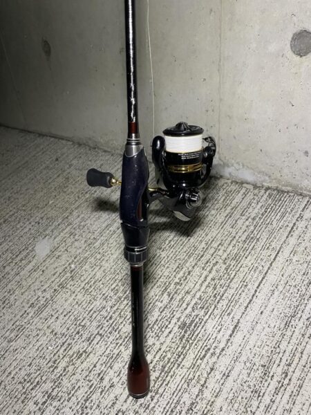 今のうちにチニング