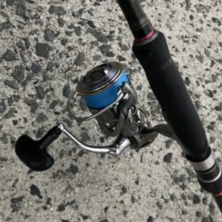 朝マズメのフロートアジング