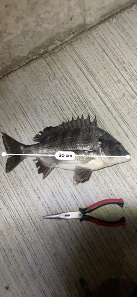 息抜きにチニング