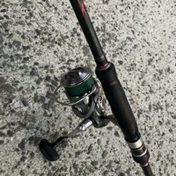 朝マズメのカマス釣り