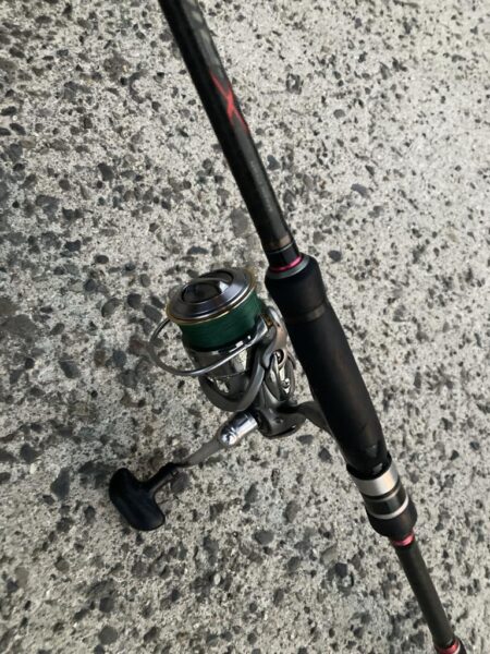 朝マズメのカマス釣り