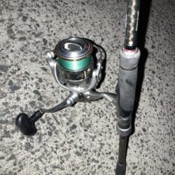 早朝のカマス釣り