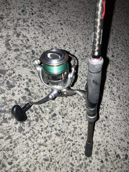 早朝のカマス釣り