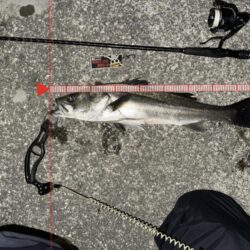 寒いのにニ投目、三投目でキャッチ！