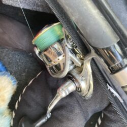 朝のデイカマッシング