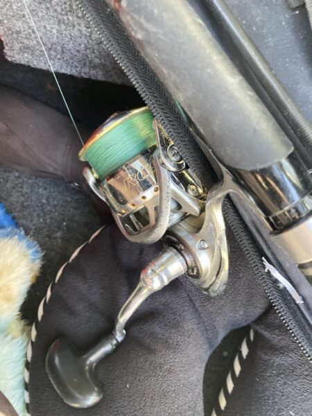 朝のデイカマッシング