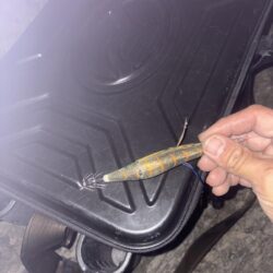 新年初エギング