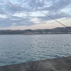 年明け2回目アジパトロール