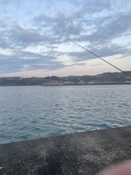 年明け2回目アジパトロール