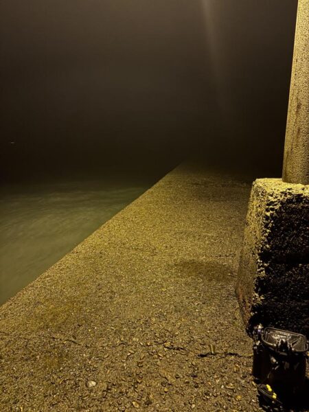 釣り初めアジング　マメアジのみw