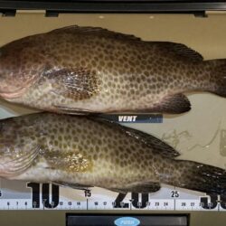 五目タイラバで目標達成