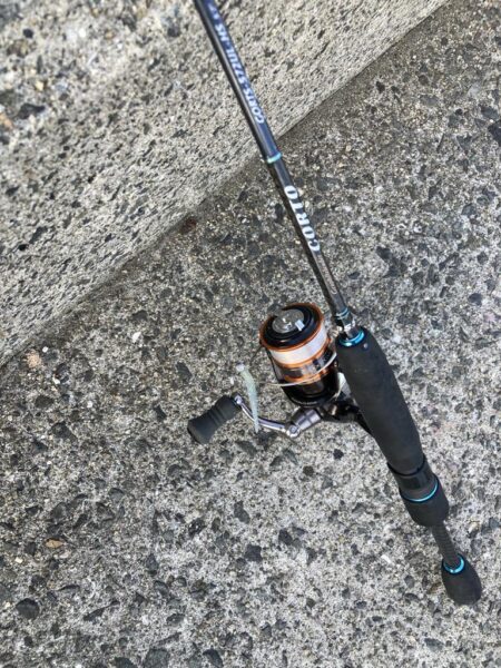 デイゲームのアジング