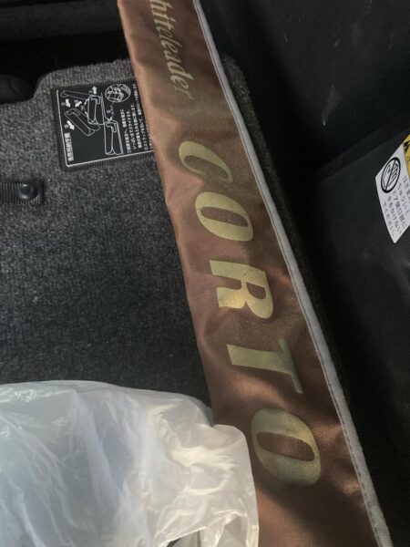 夕マズメのジグ単アジング