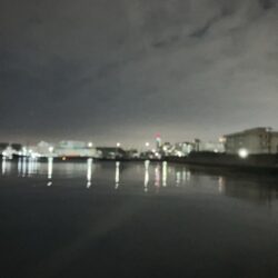 ここ1ヶ月セイゴしか釣れず（≧∇≦）