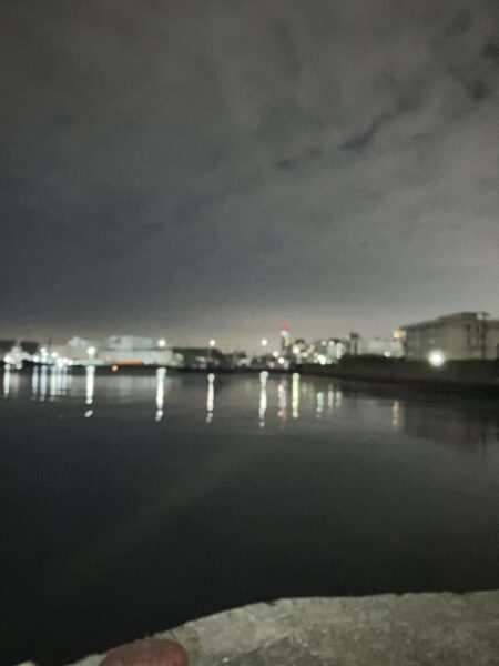 ここ1ヶ月セイゴしか釣れず（≧∇≦）