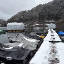 今年の釣りは生野銀山湖ワカサギ釣りからスタート！
