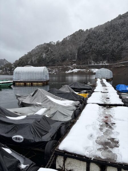 今年の釣りは生野銀山湖ワカサギ釣りからスタート！