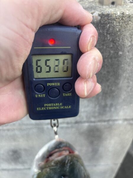 伊勢湾ジギング