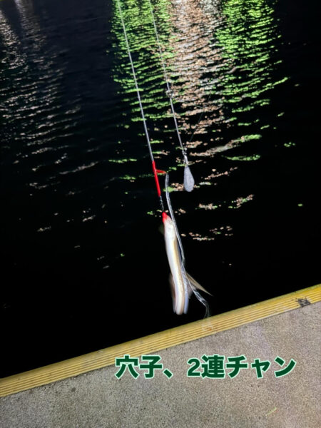 2026年　初釣り🎣