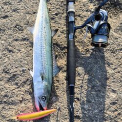 3回ヒットで楽しかったが残念、、、