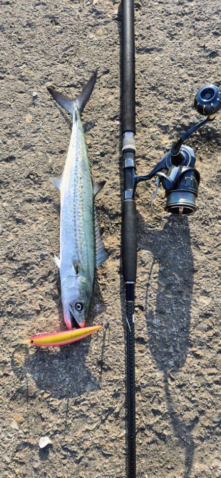 3回ヒットで楽しかったが残念、、、