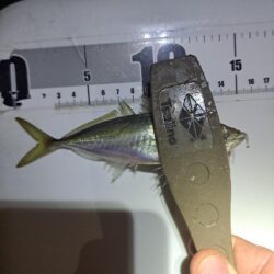 2026年1091初釣り