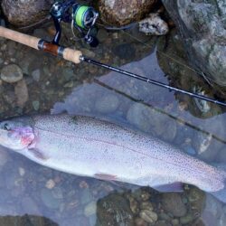 ばらしてばかり ～天竜川ルアーフライテンカ…