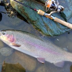 大型７本！ ～天竜川ルアーフライテンカラ専…