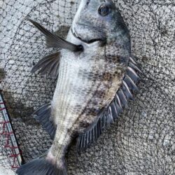 イチノ兄弟、釣果！