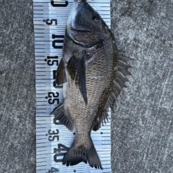 イチノ兄弟、釣果！