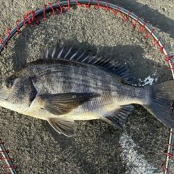 イチノ兄弟、釣果!