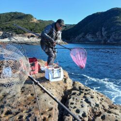 和歌山市江(吉丸渡船)で納竿3日目